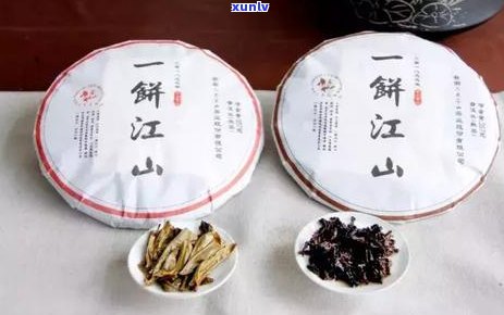 普洱茶的独特魅力：对比其他茶类的优势