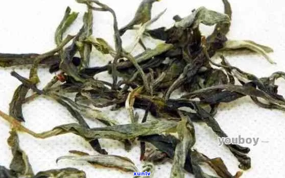 江普洱茶排行之一名是谁啊？江茶叶排行榜