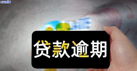 懂你逾期如何处理法务协商