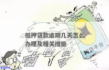 祥源贷款逾期怎么办理如何处理