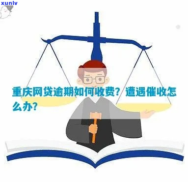 重庆高额网贷逾期怎么办避免影响个人信用