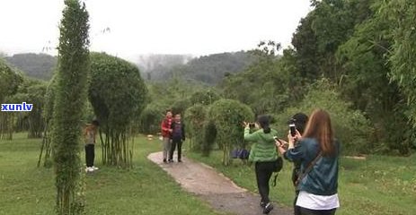 普洱茶博览园官网 *** 与展示普洱茶博览苑的位置信息。