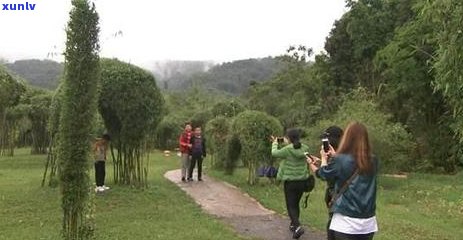 普洱茶博览园官网 *** 与展示普洱茶博览苑的位置信息。