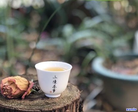 深入解析：散茶与饼茶的异同，让你全面了解茶叶种类的选择