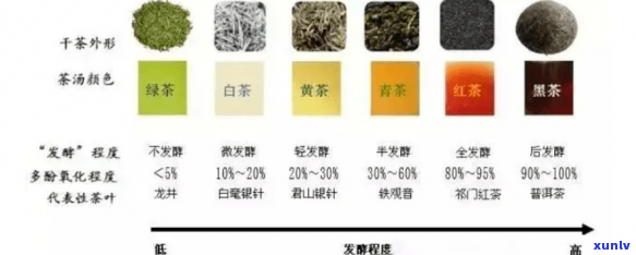 从散茶到茶饼：茶叶形态的演变与其品质的关系