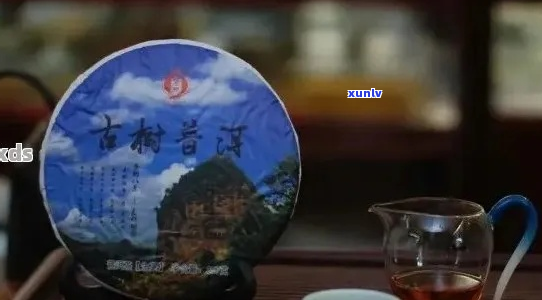 下关精武普洱茶：品味古树韵味，体验茶文化精髓