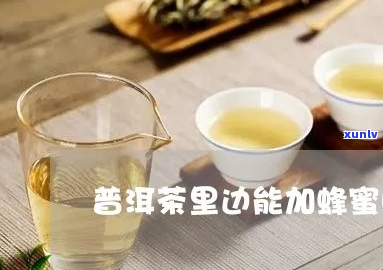 泡普洱茶可以加花蜜吗-泡普洱茶可以加花蜜吗为什么