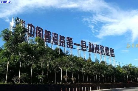 普洱千家寨古树茶价格：云南普洱千家寨简介与市场行情