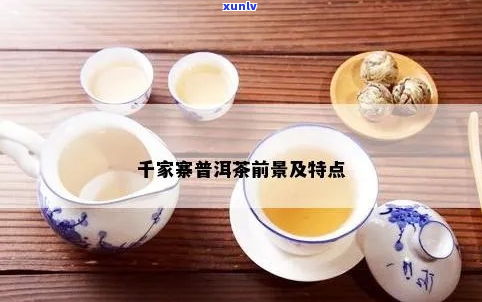 全面探索千家寨普洱茶生茶：品质特点、冲泡 *** 与品饮技巧