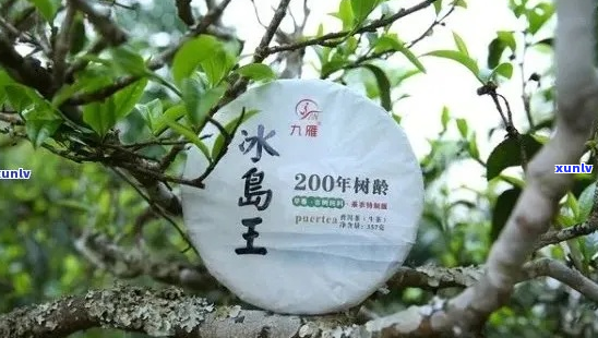 冰岛五寨茶：哪五个寨子的特色茶？哪个寨的冰岛五寨茶最出彩？