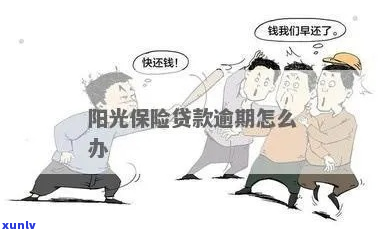 阳光银行借款逾期应该怎么处理