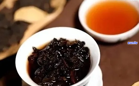 普洱熟茶冲泡的克数：多少克合适？