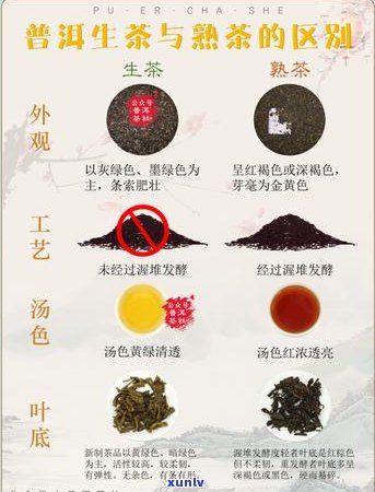 普洱茶熟茶泡制时水放多少毫升？如何掌握比例以获得更好的口感和品质？