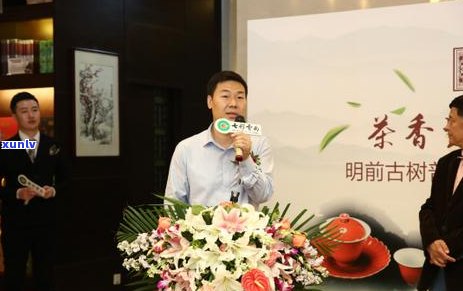 优质普洱茶口粮茶推荐：品味古树韵味，感受自然醇香