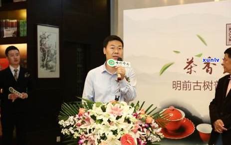 优质普洱茶口粮茶推荐：品味古树韵味，感受自然醇香