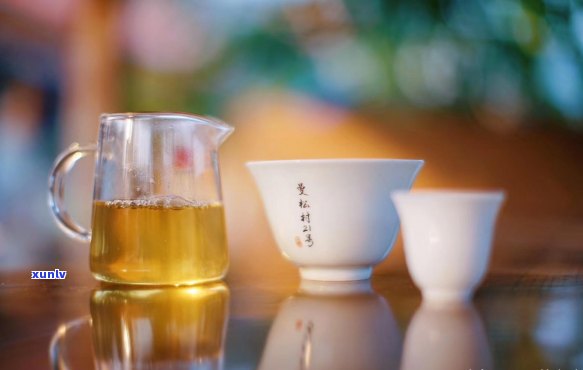 20年陈古树普洱茶饼价值分析：品鉴、投资与收藏全方位指南