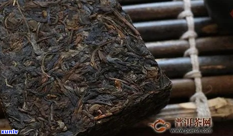 20年的古树普洱茶砖多少钱：了解二十年陈年普洱茶价格与品质