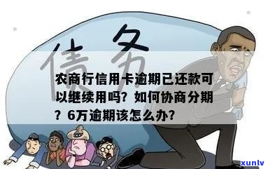 农商银行欠二万五逾期怎么办理