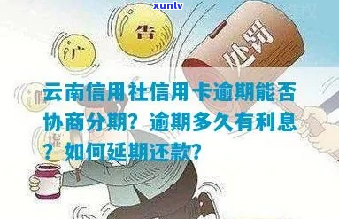 云南银行欠款逾期案例如何解决