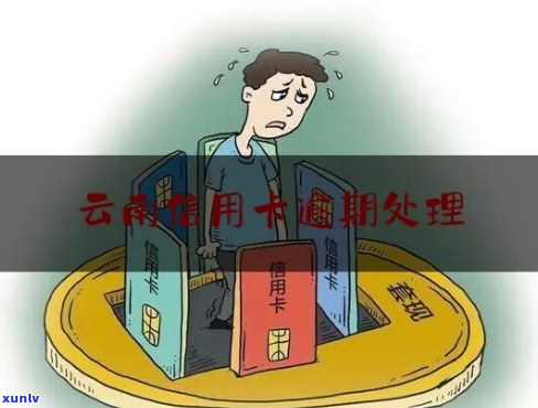 云南银行欠款逾期案例如何解决