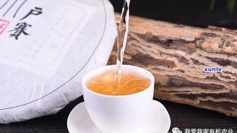 自己喝普洱茶哪种好 - 选择适合自己的普洱茶和价位