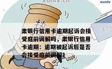 信用卡逾期法院能调解么具体流程是什么