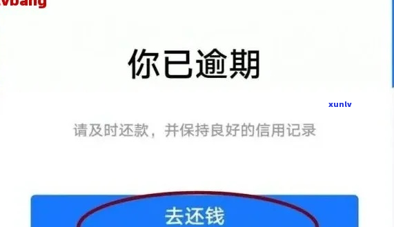 欠借呗20万逾期2年怎么处理