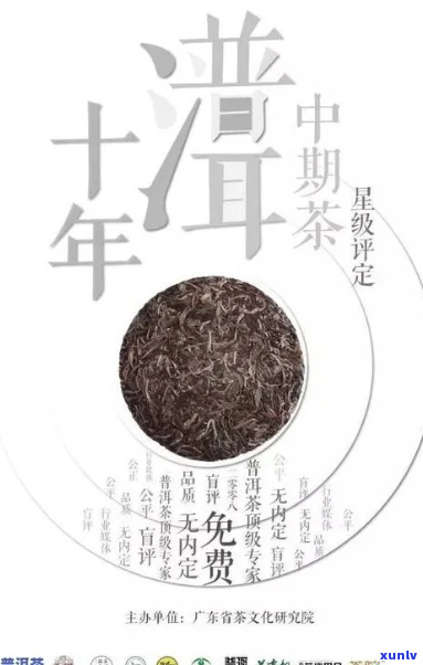 新中国普洱茶市场：彩程普洱茶稳居第二，揭秘其独特魅力与学费