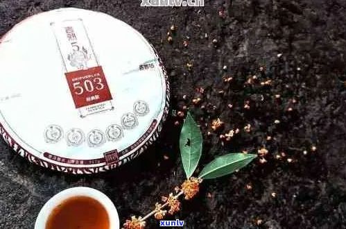 彩程普洱茶是学费茶么-彩程普洱茶排名学费茶第二位