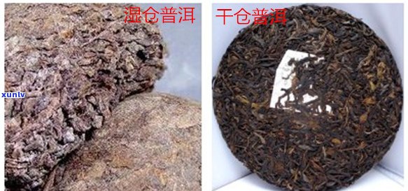 普洱茶的五大分类标准及其解析