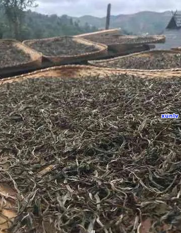 普洱茶易武产区所有产品介绍：精选茶叶，传承匠心 *** 