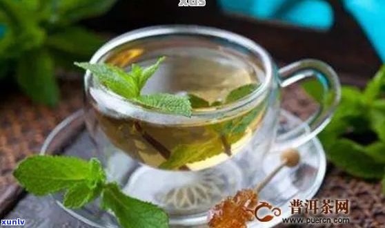 普洱茶薄荷：品饮功效、冲泡 *** 及其它你可能想知道的一切