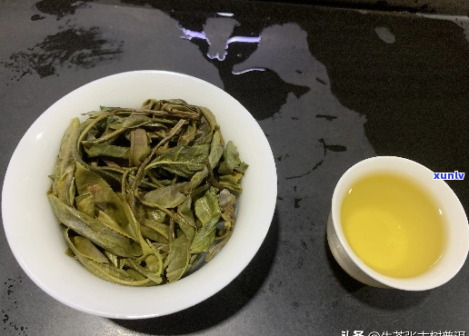 普洱茶选购指南：如何根据目标挑选合适的茶叶？