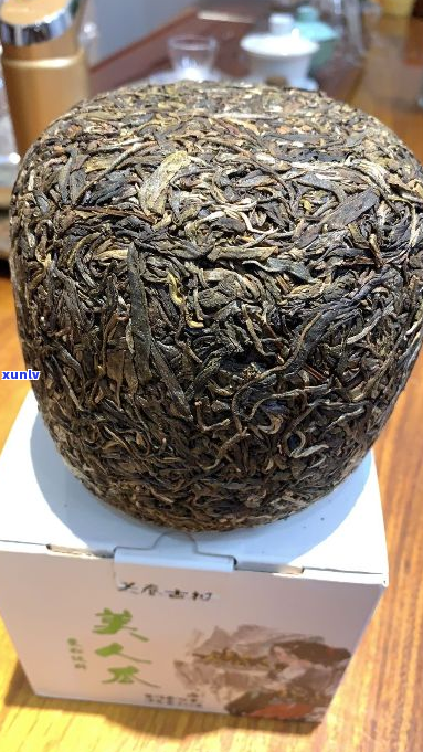 新 古茶艺的传承：2019年普洱茶生茶之旅，剑指年份与口感的完美融合