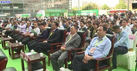 昆明哪里购买正宗普洱茶？寻找信誉良好的茶叶商店与