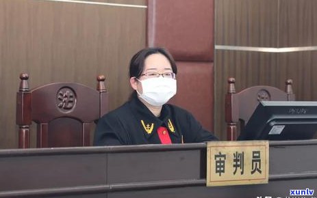 多元网上调解如何实现分期付款