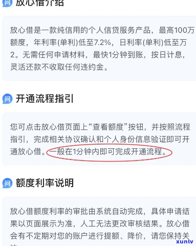 放心借期2年一次性还款的操作步骤