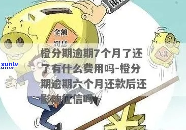 新橙分期逾期会怎么处理