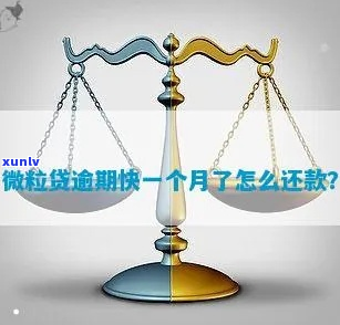 维信贷款逾期半个月怎么办