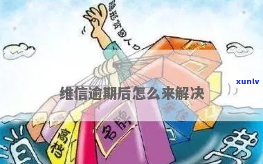 维信贷款逾期半个月怎么办