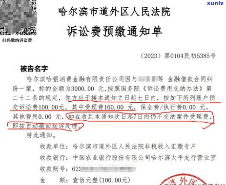 欠网贷3万被起诉冻结应该怎么办