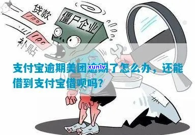 支付宝美团逾期了怎么办