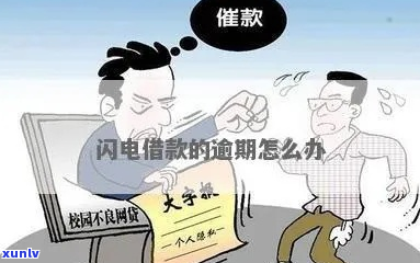 闪电借款逾期如何处理通讯录