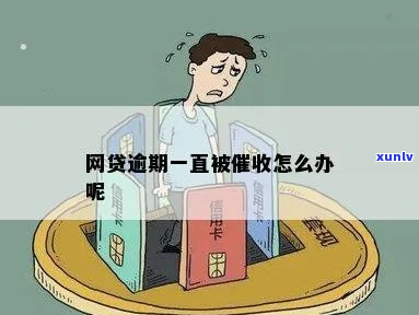 网贷逾期被真难受如何解决