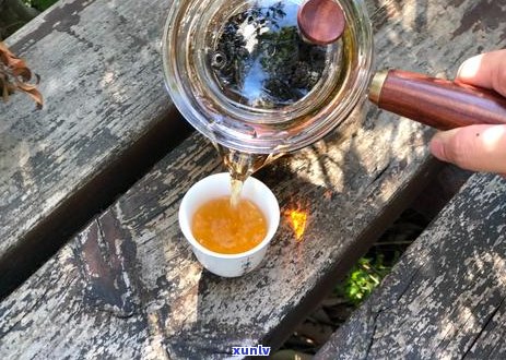 普洱茶：绿茶、红茶还是其他类型？解答各种疑问的全接触指南