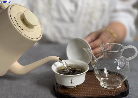 普洱茶：绿茶、红茶还是其他类型？解答各种疑问的全接触指南