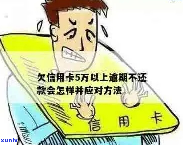 信用卡欠5万元还不起咋办怎么办