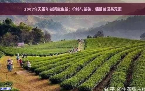 2007年天百年老班章生茶：骞村茶文化的传承与创新