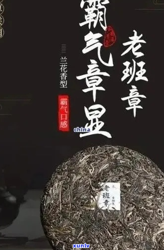 老班章生普：品质与口碑并存的茶叶选择指南