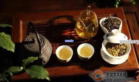 明0840普洱茶：古树韵味，岁月沉淀，品茗新境界